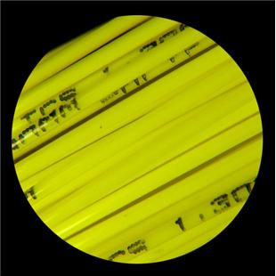 Tenis struna Polyfibre TCS - kolut