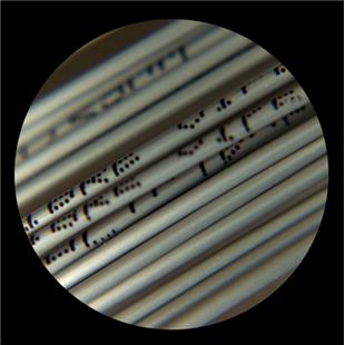 Tenis struna Polyfibre  Viper - set